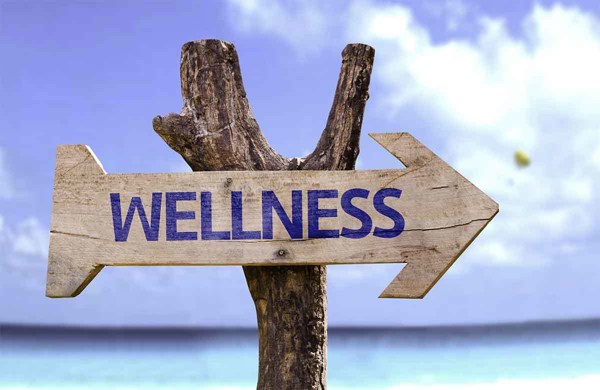 wood sign with the word wellness printed overtop