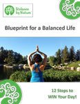 Blueprint for a Balanced Life 2022